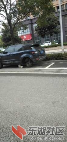 auto-orient,0.jpg