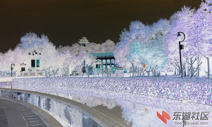 20141120_145026_副本.jpg