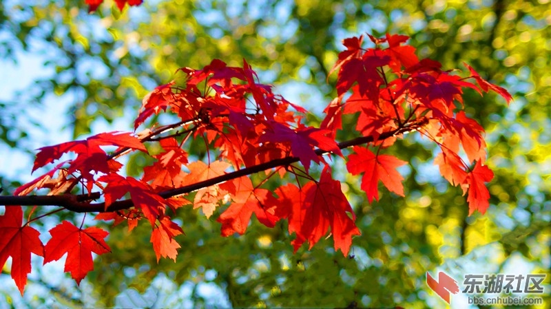 1.DSC08503.jpg