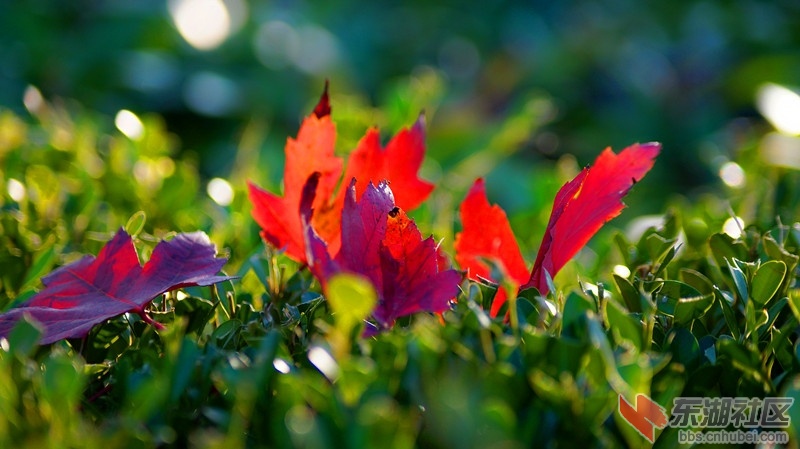 6.DSC08528.jpg