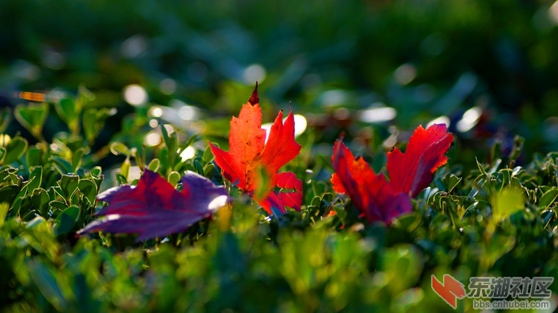 7.DSC08525.jpg