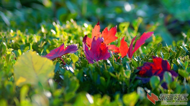 8.DSC08530.jpg