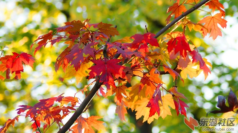 10.DSC08564.jpg