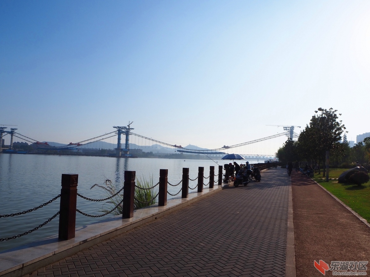 PA182166.jpg