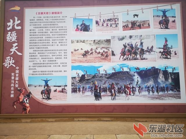IMG_20191005_163144.jpg