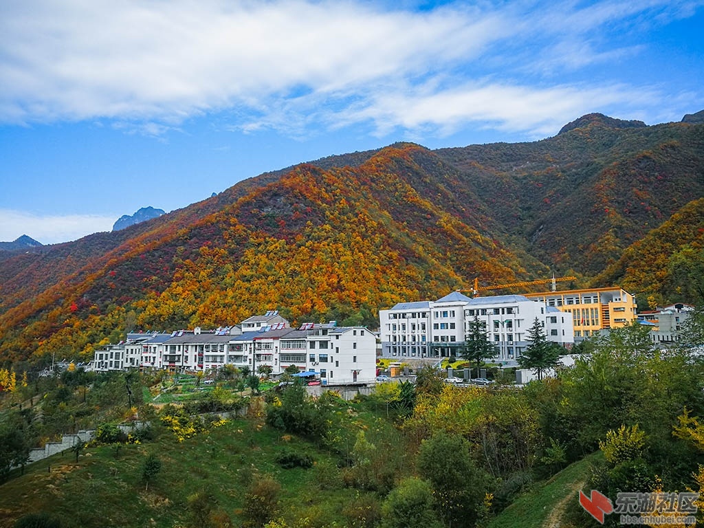 松柏慢城.jpg