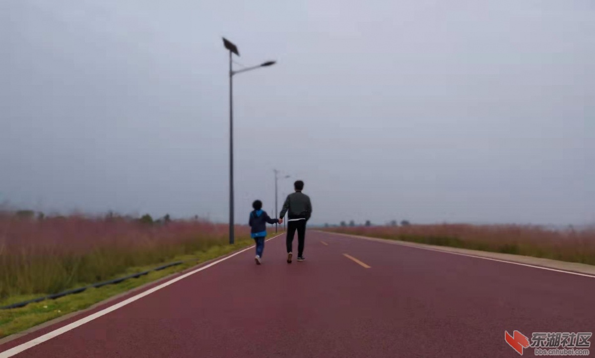 微信图片_20191031185604.jpg