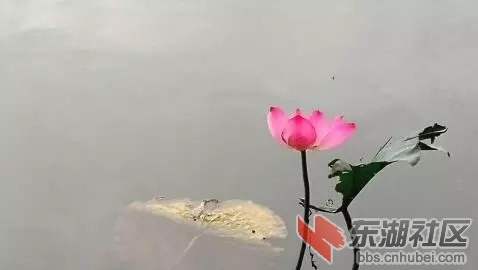 13877989-dd58f3c873c72baf.webp.jpg