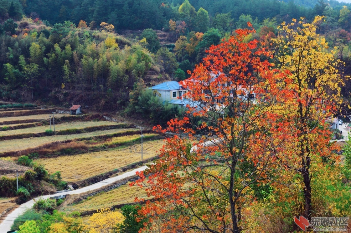 qq截图20191103080921_副本.jpg