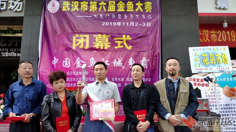 371 金鱼比赛 2019-11-3IMG_20191103_114030.jpg