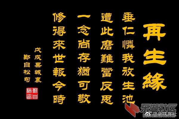 五龙宫放生池石碑碑文