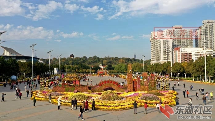 DJI_0664 - 副本.JPG