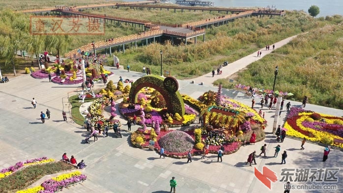 童汉芳摄 无人机 看汉口江滩菊展2019.11.14DJI_0619 - 副本.JPG