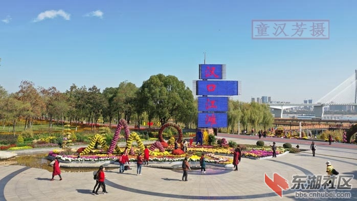 童汉芳摄 无人机 看汉口江滩菊展2019.11.14DJI_0633 - 副本.JPG