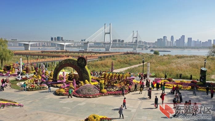 童汉芳摄 无人机 看汉口江滩菊展2019.11.14DJI_0631 - 副本.JPG