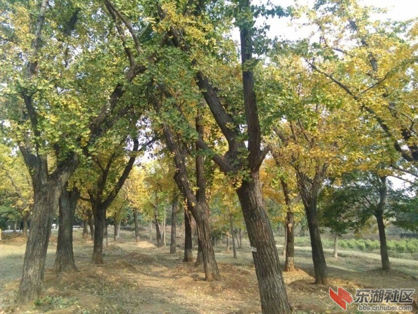 qq图片20191117195444.jpg