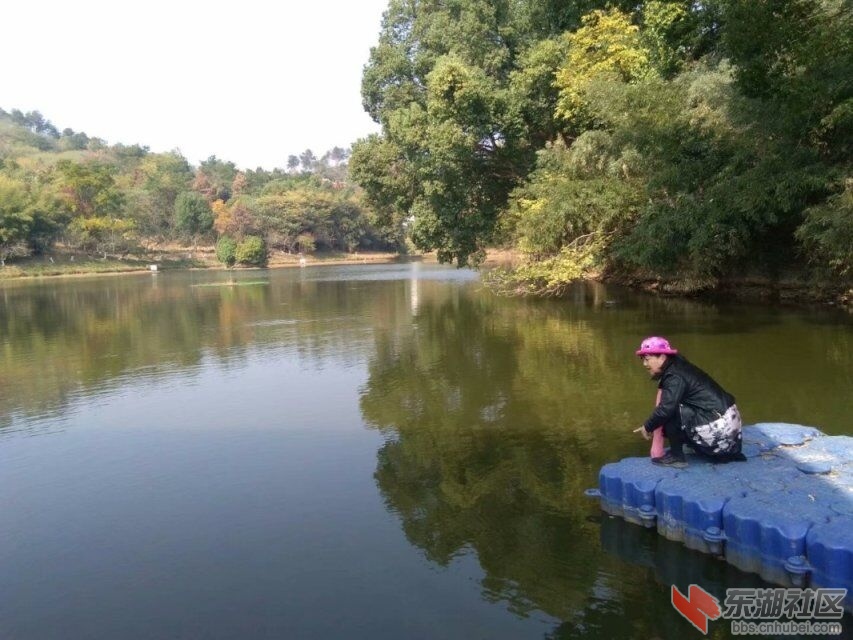 qq图片20191117195538.jpg