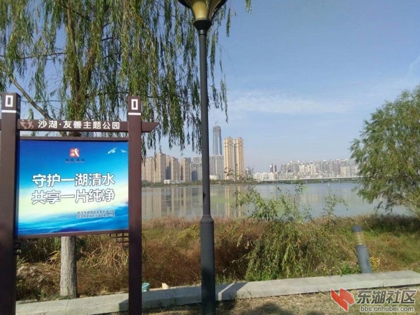 qq图片20191117193732.jpg