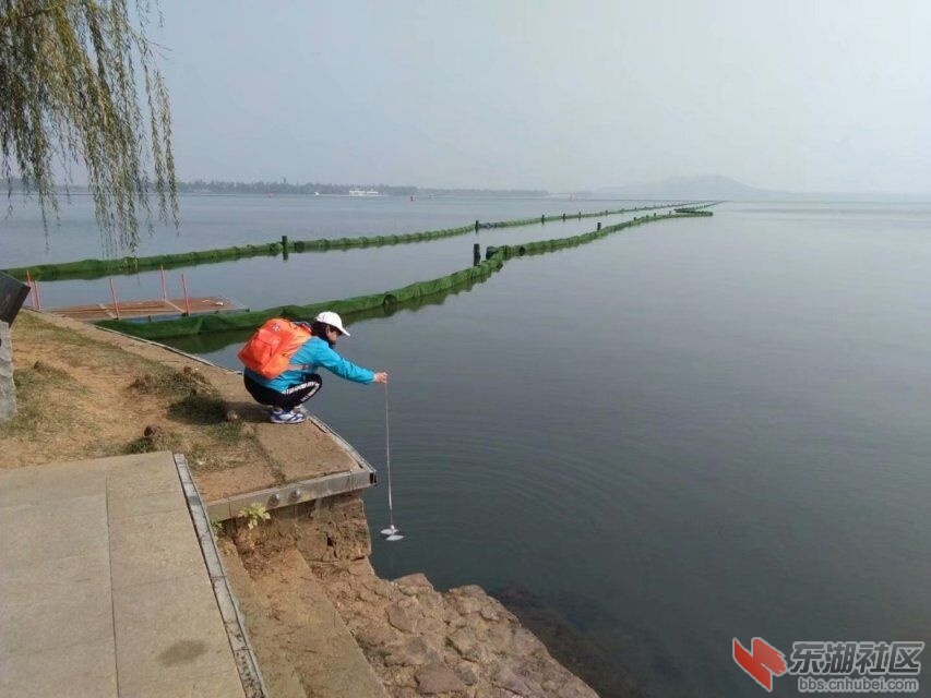 qq图片20191117194445.jpg