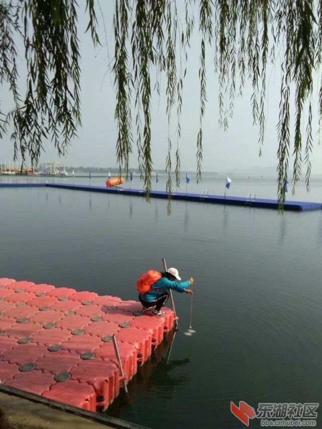 qq图片20191117194504.jpg