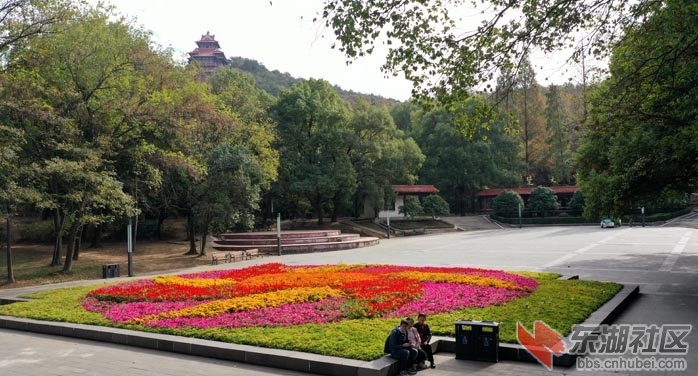 童汉芳摄 东湖绿道菊展DJI_0030 - 副本.JPG