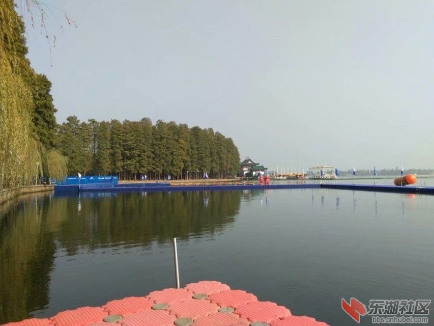 qq图片20191120200020.jpg