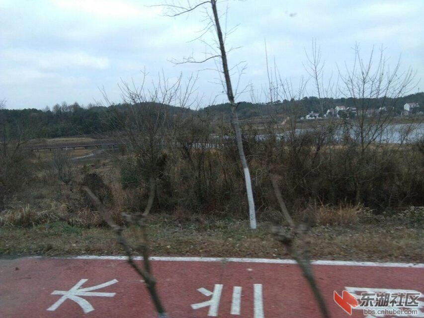 qq图片20191120201903.jpg