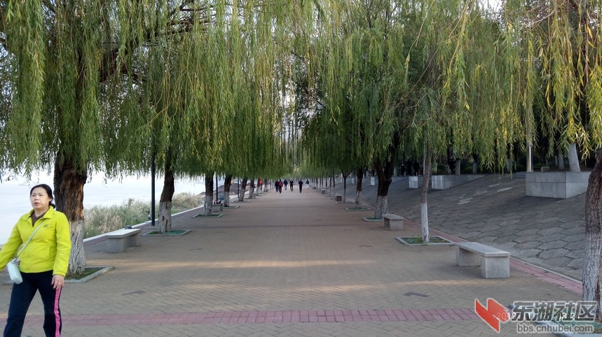 P91122-082452.jpg