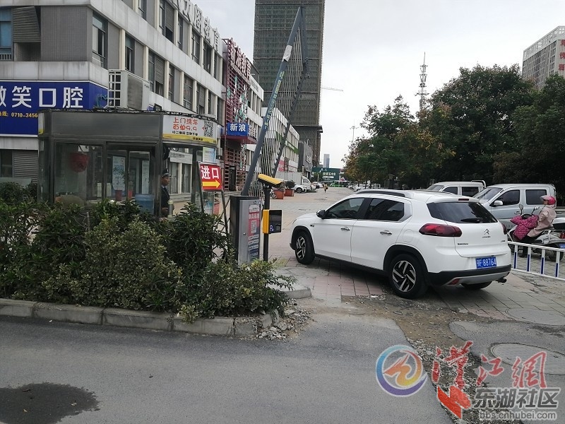 XYWB201911152_3.jpg