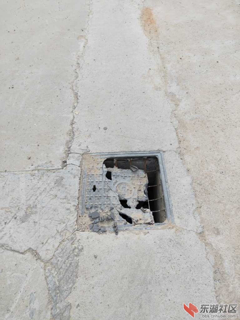 IMG20191105074842.jpg