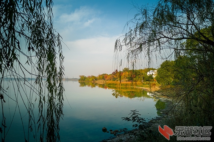 大美东湖，秋色醉游人 曾院平摄影.jpg