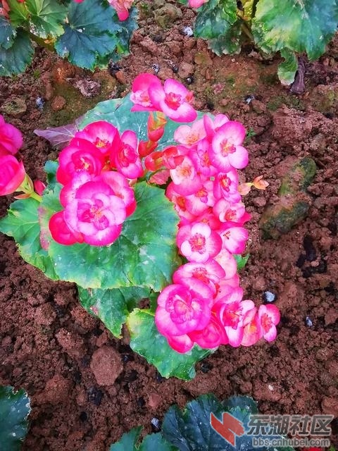 IMG_20191115_163548.jpg