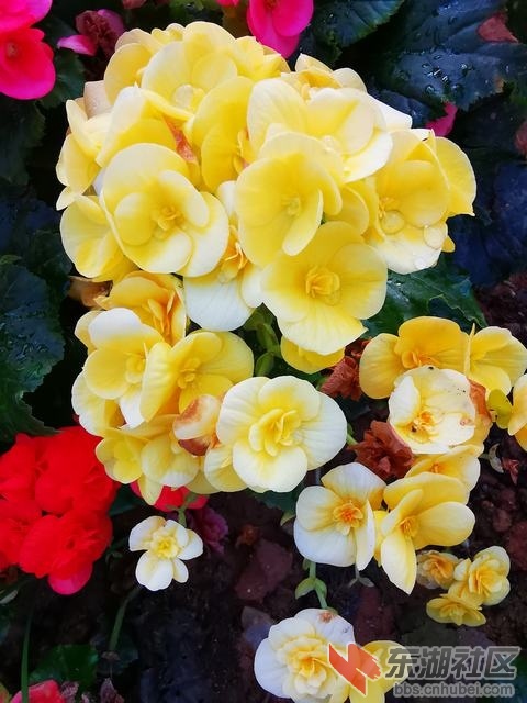 IMG_20191115_163739.jpg