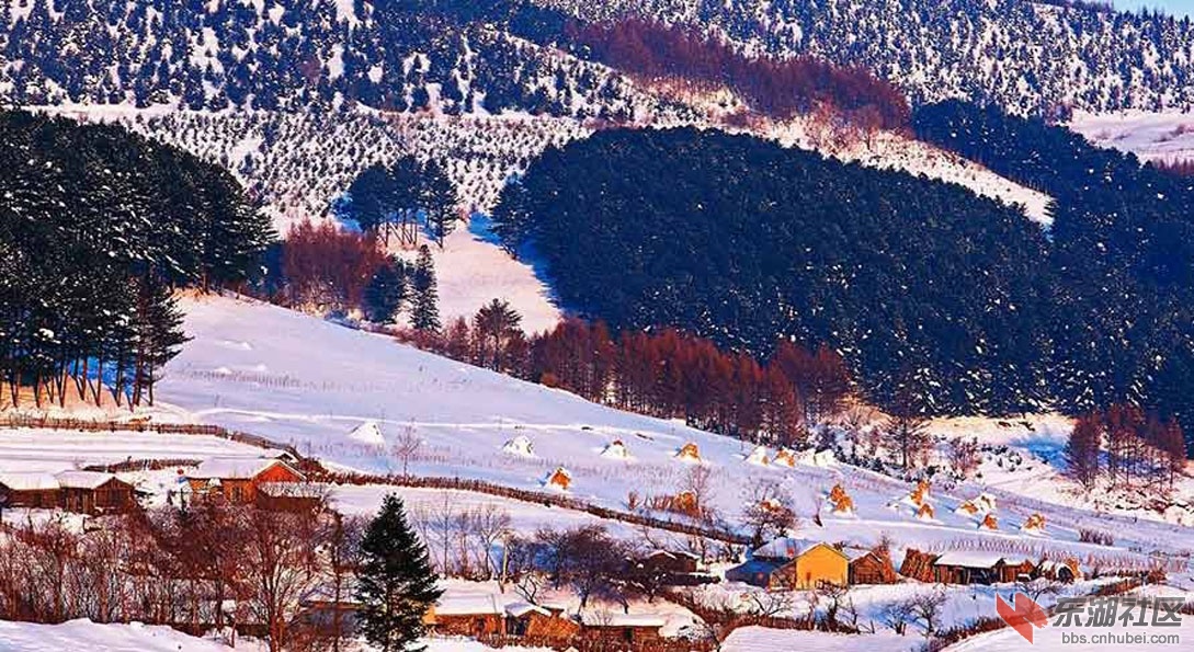 17 雪乡.jpg
