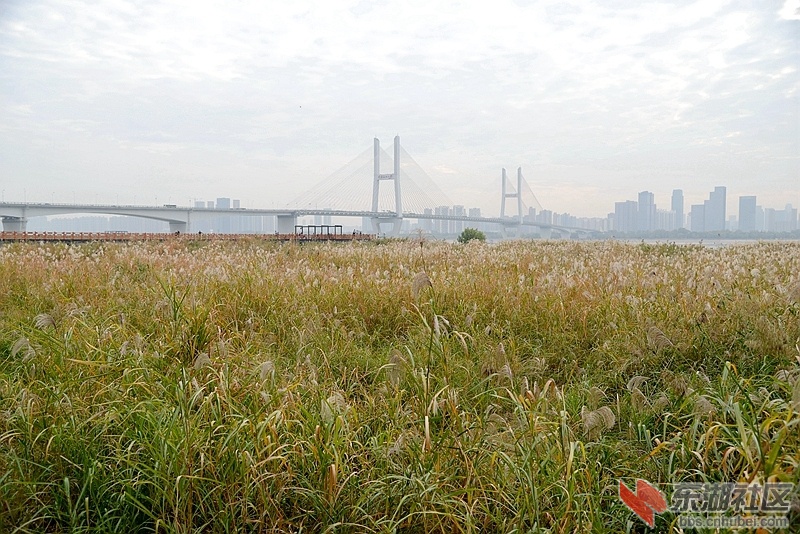 DSC_8866_副本.jpg