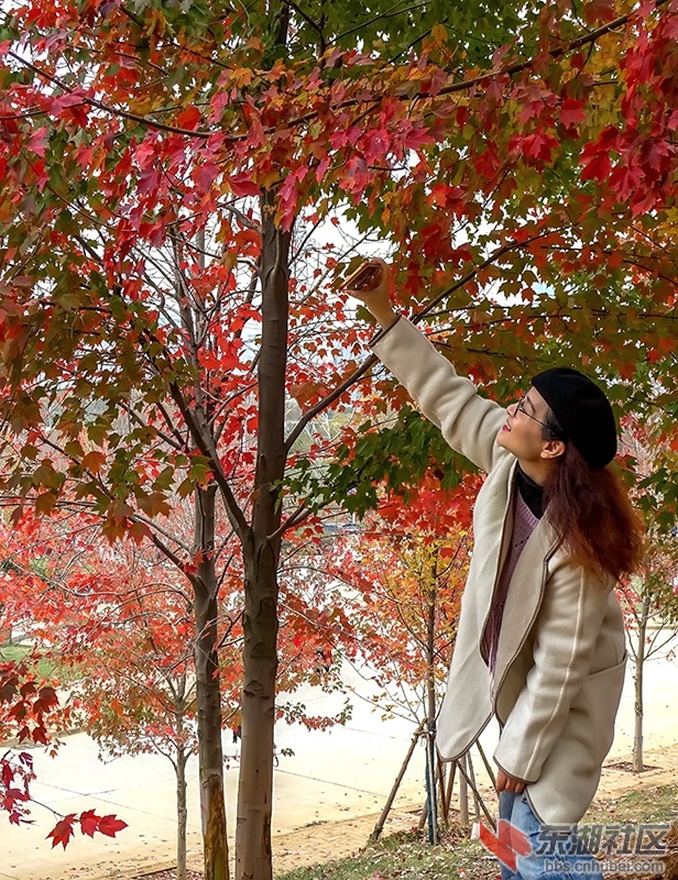 6                                                 DSC01137_副本.jpg