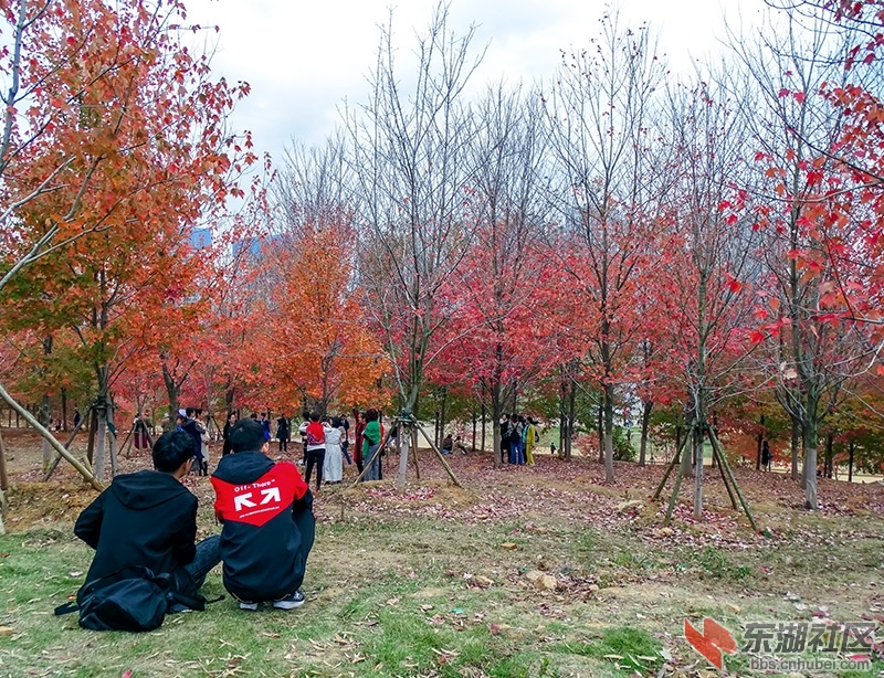 7                                                  DSC01148_副本.jpg