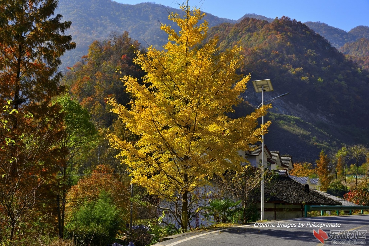 _DSC1984.jpg