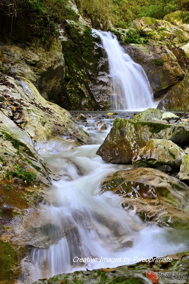 _DSC1888.jpg