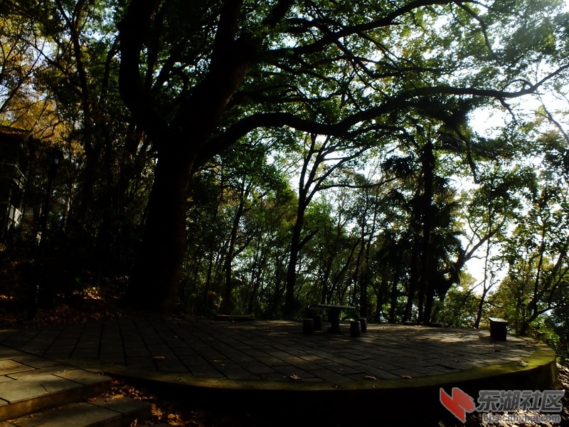 DSCF1823_调整大小.JPG