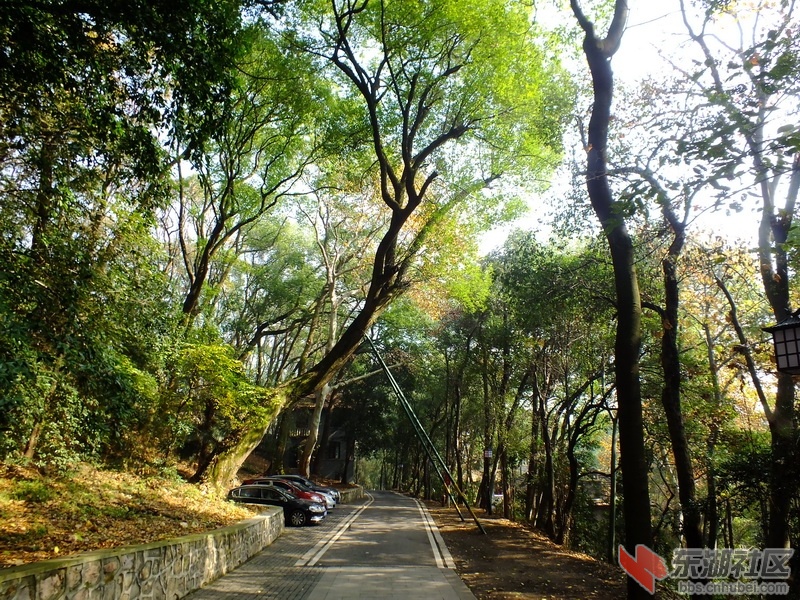 DSCF1844_调整大小.JPG