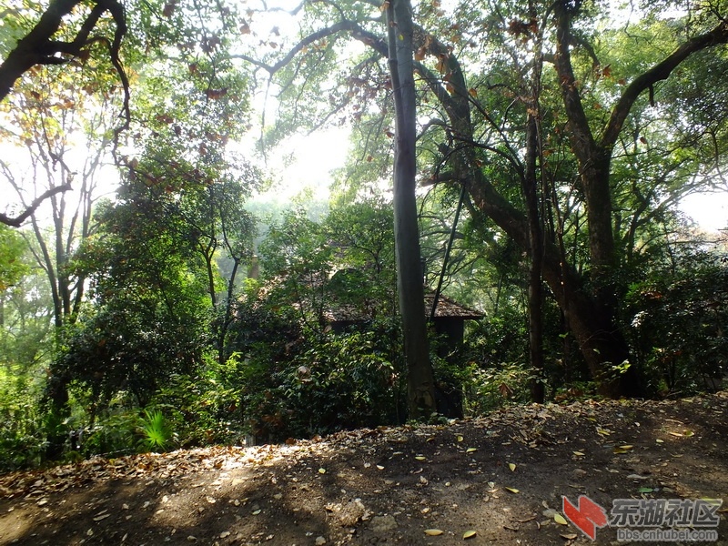 DSCF1845_调整大小.JPG