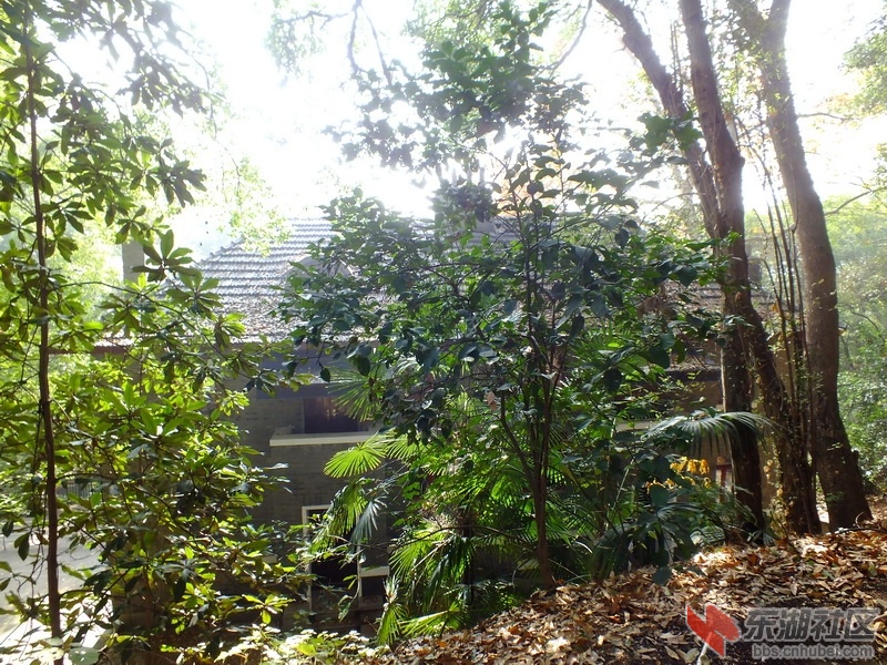 DSCF1849_调整大小.JPG