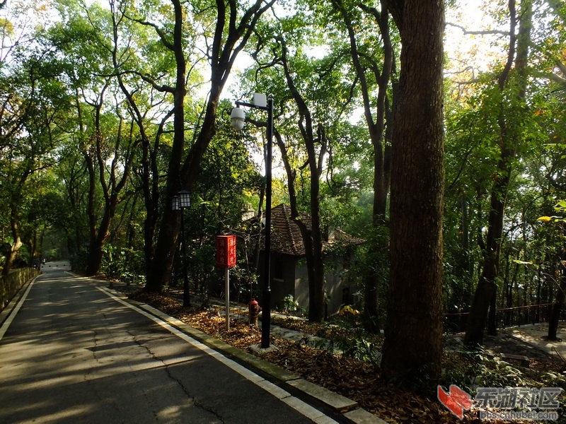DSCF1856_调整大小.JPG