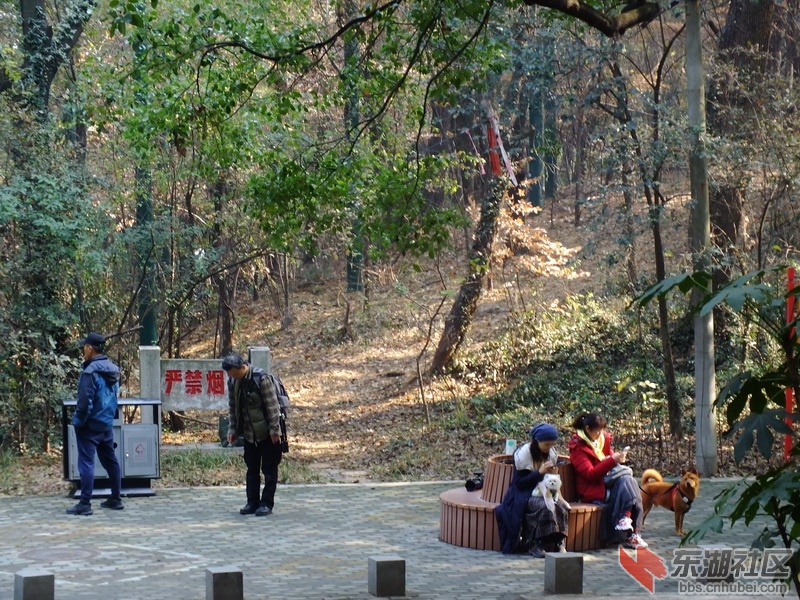 DSCF1865_调整大小.JPG