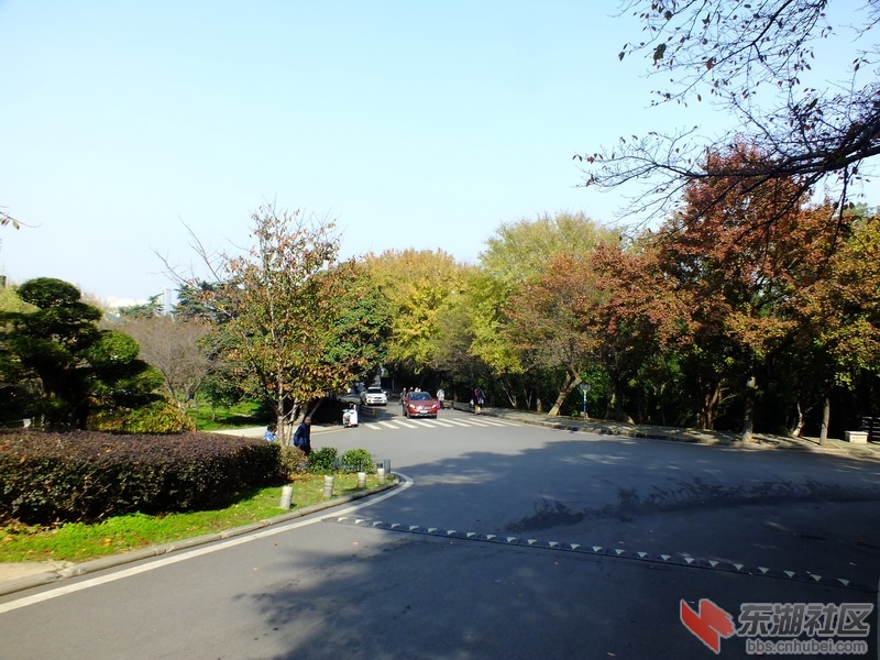 DSCF1881_调整大小.JPG