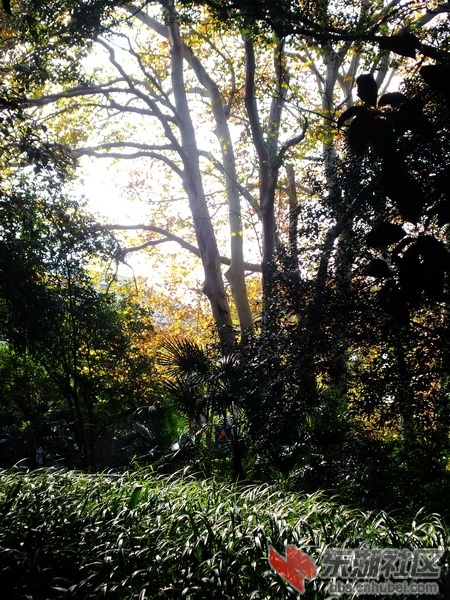 DSCF1899_调整大小.JPG