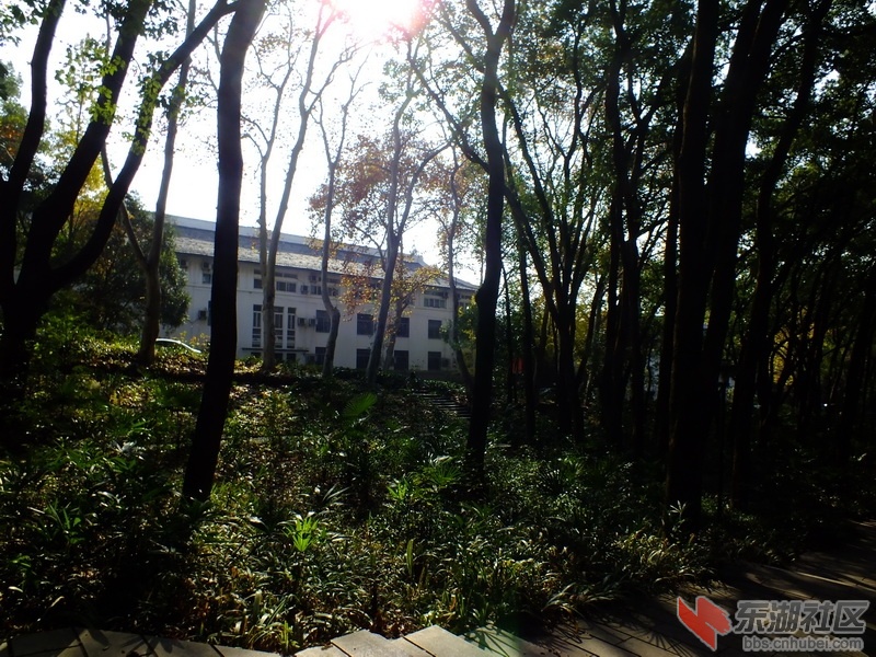 DSCF1906_调整大小.JPG
