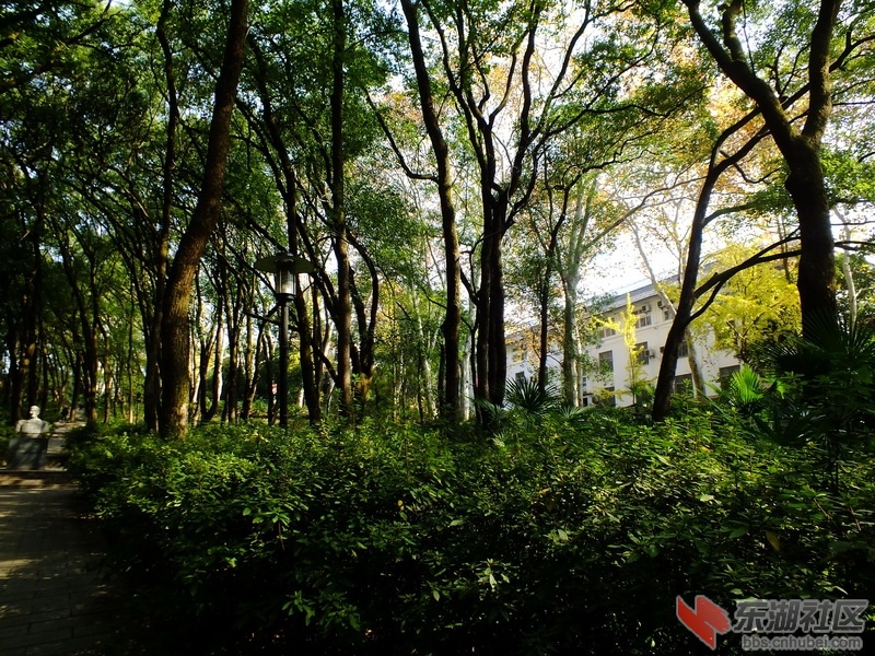 DSCF1907_调整大小.JPG