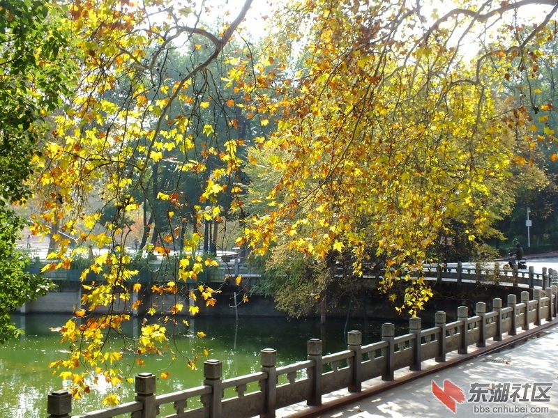 DSCF1928_调整大小.JPG